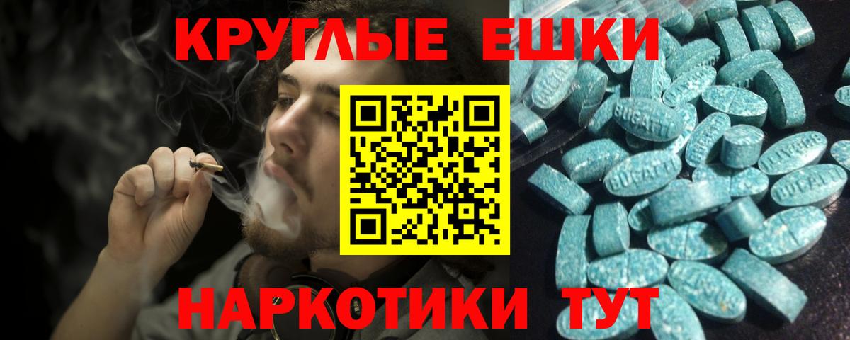 Ecstasy Philipp Plein  Ecstasy  Беслан  Вход с VPN 