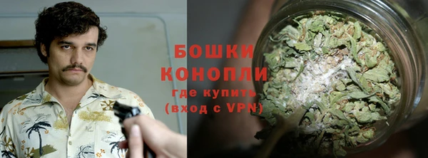 гашик Медногорск