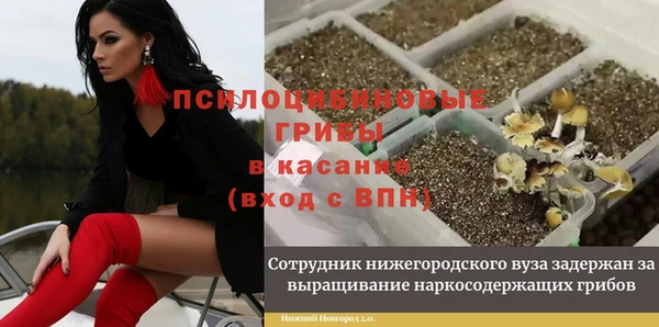 прущие крисы Медвежьегорск