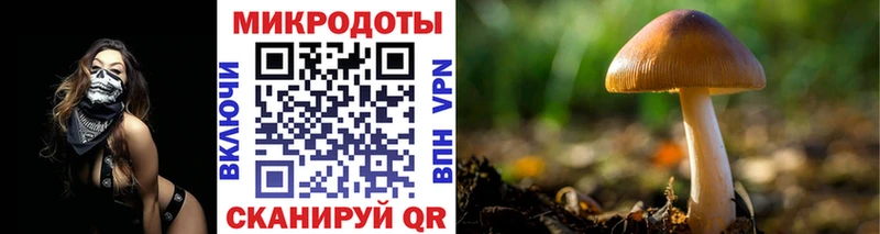 omg ТОР  где купить наркоту  Беслан  Галлюциногенные грибы MAGIC MUSHROOMS 