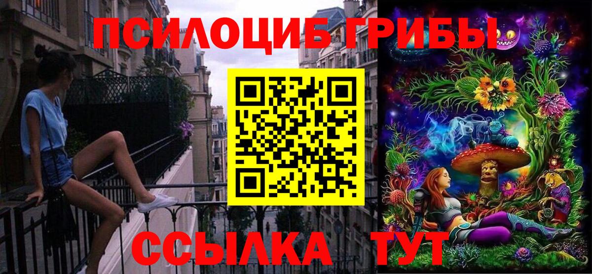 Псилоцибиновые грибы Psilocybine cubensis  как найти закладки  Беслан  Вход с VPN 