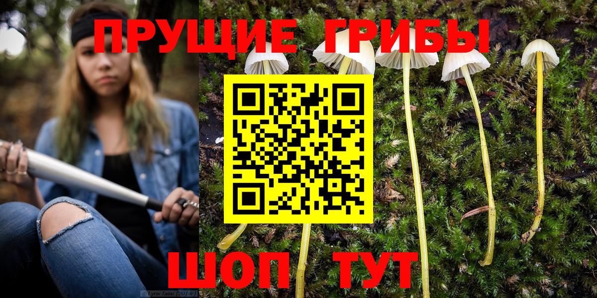 Псилоцибиновые грибы GOLDEN TEACHER Беслан