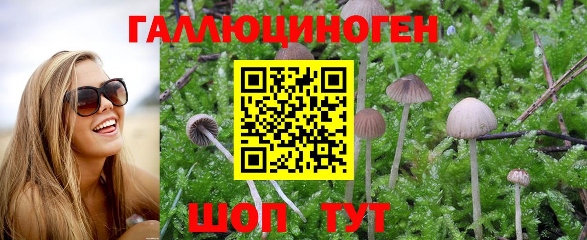 Галлюциногенные грибы GOLDEN TEACHER  Псилоцибиновые грибы прущие грибы  продажа наркотиков  Беслан 