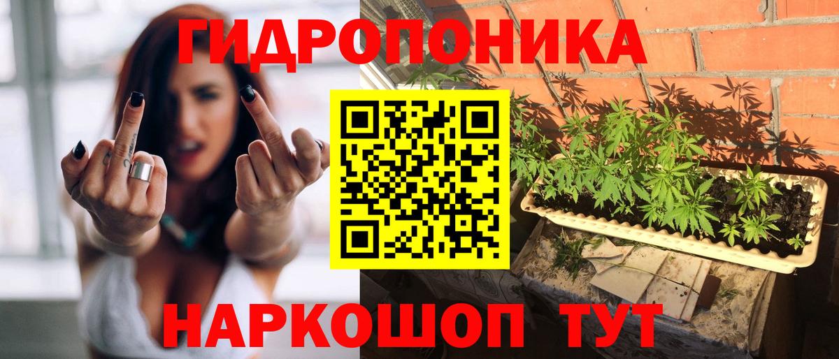 Каннабис сатива  Марихуана Bruce Banner  Вход с VPN  Беслан  Канабис THC 21% 